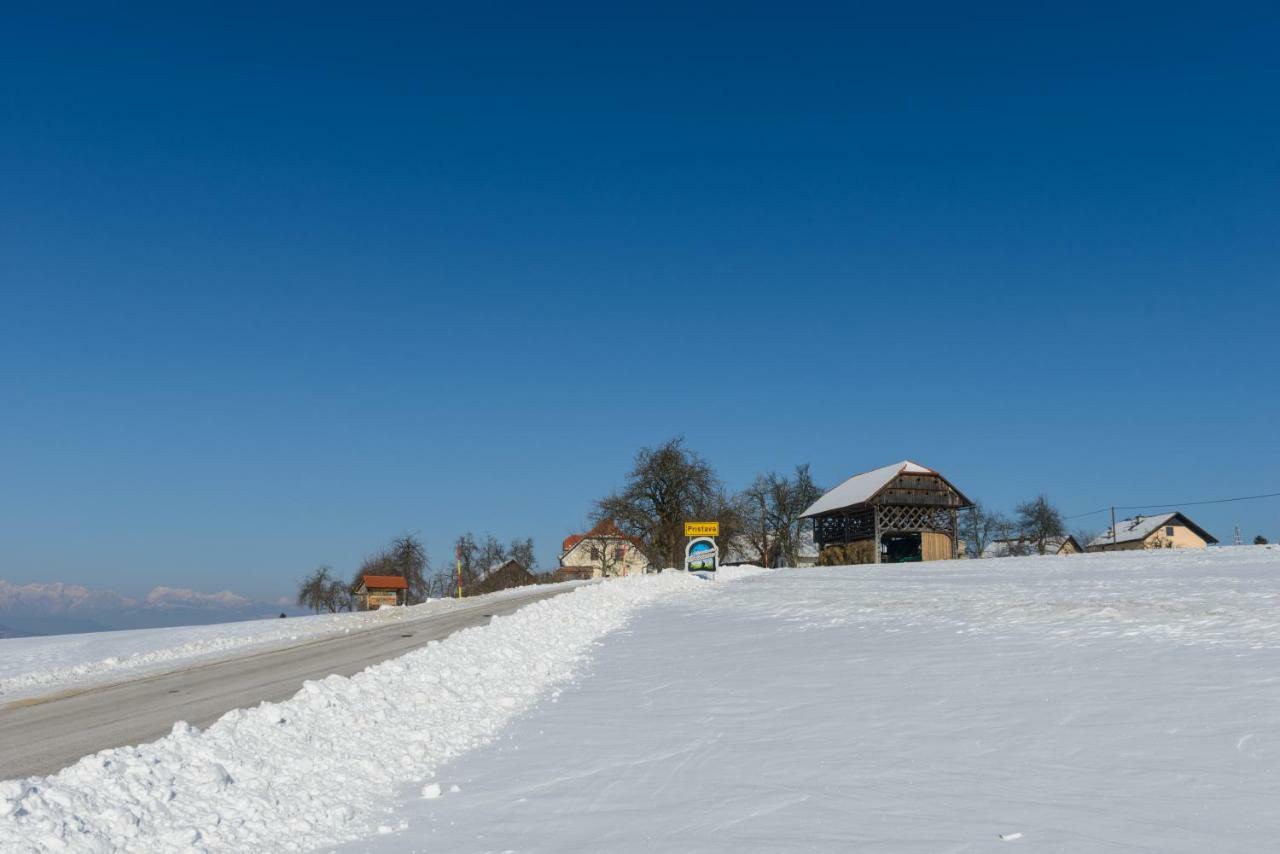 Holiday Home Virida, App Leopold III Ivancna Gorica Eksteriør billede